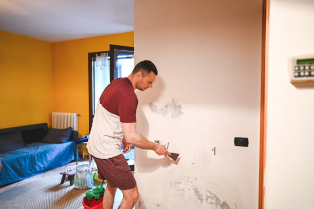 Best Crawl Space Mold Removal  in Taylors Falls, MN